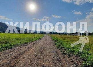 Продам участок, 10 сот., Кемеровская область, СНТ Куртуковское, 10