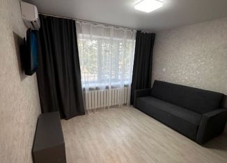 Сдается в аренду 1-комнатная квартира, 31 м2, Каменск-Шахтинский, Красная улица, 52