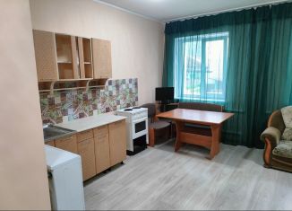 Квартира в аренду студия, 26.6 м2, Горно-Алтайск, улица Осипенко, 31