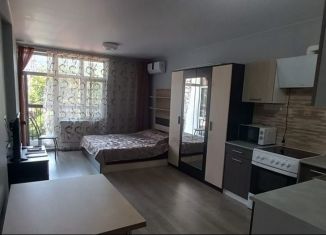 Сдается в аренду квартира студия, 30 м2, посёлок городского типа Дагомыс, улица Гайдара, 22к1, ЖК Босфор