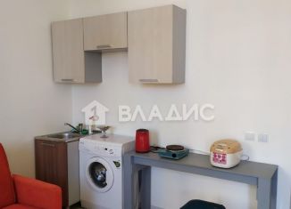 Продается квартира студия, 25 м2, Мурино, Ручьёвский проспект, 13, ЖК Айди Мурино