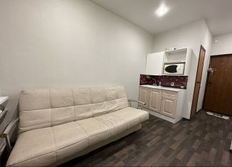 Аренда квартиры студии, 18 м2, Татарстан, улица Фурманова, 25