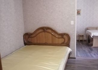 Сдача в аренду 2-комнатной квартиры, 55 м2, Ставропольский край, Кисловодская улица, 43