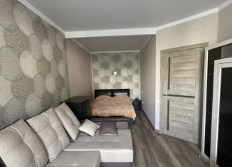 Сдаю 1-ком. квартиру, 40 м2, Ольгинка, Морская улица, 3А