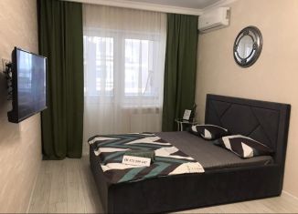 Сдаю в аренду однокомнатную квартиру, 42 м2, Ростов-на-Дону, улица Нансена, 103/1/3, ЖК Звезда Столицы