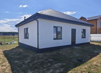 Продам дом, 70 м2, деревня Минаево, коттеджный посёлок Минаево ИЖС, 117