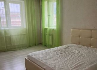 Сдам в аренду 1-ком. квартиру, 40 м2, Тосно, улица Блинникова, 6