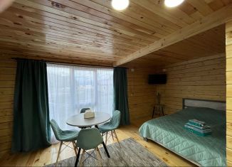 Сдается в аренду дом, 35 м2, село Чаган-Узун, Колхозная улица