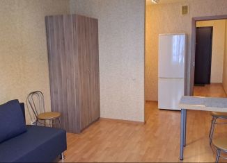 Квартира в аренду студия, 28 м2, посёлок Парголово, Заречная улица, 19к1