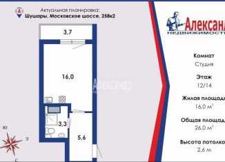 Продам квартиру студию, 27.1 м2, посёлок Шушары, Московское шоссе, 258к2