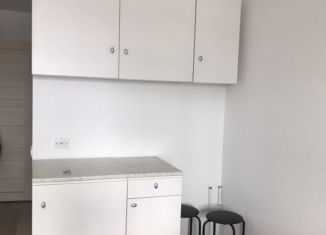 Сдается квартира студия, 22.4 м2, Екатеринбург, улица Новостроя, 9