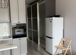 Продам квартиру студию, 28 м2, деревня Крёкшино, улица Медовая Долина, 4