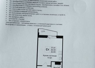 Продается квартира студия, 24.8 м2, городской посёлок имени Свердлова