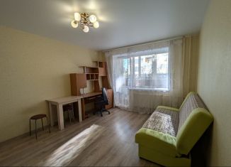 Продам квартиру студию, 27 м2, деревня Хохряки, Муромская улица, 4