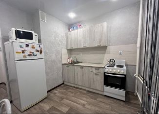 Сдаю в аренду 1-комнатную квартиру, 32 м2, Мурино, Ручьёвский проспект, 4/26, ЖК Авиатор