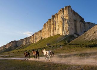 Продается участок, 25 сот., село Вишенное