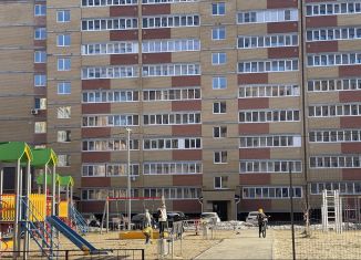 Продаю 1-комнатную квартиру, 38 м2, Йошкар-Ола, улица Йывана Кырли, 31Б, микрорайон Дружный