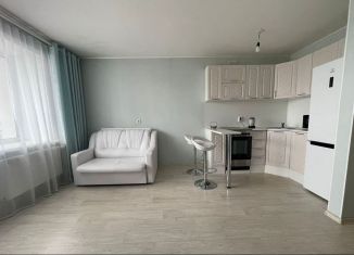 Аренда квартиры студии, 27 м2, Благовещенск, Красноармейская улица, 164