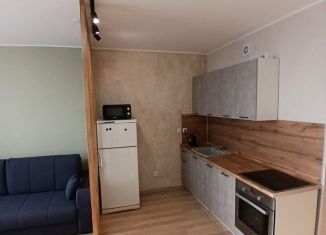 Аренда квартиры студии, 32 м2, Екатеринбург, улица Николая Кичигина, 7/3, ЖК Нова парк