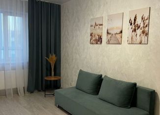 Сдается 1-комнатная квартира, 47 м2, Старый Оскол, микрорайон Степной, 33Б