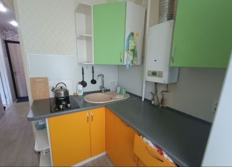 Аренда однокомнатной квартиры, 31 м2, Сыктывкар, улица Димитрова, 50, Юго-Западный район