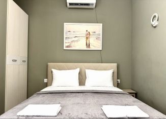 Аренда 1-ком. квартиры, 50 м2, Сочи, улица Герцена, 3, микрорайон Голубые Дали