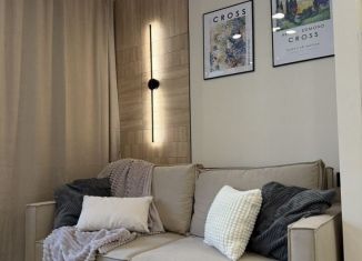 Квартира на продажу студия, 25.7 м2, Мурино, Екатерининская улица, 11