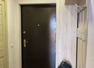 Сдаю в аренду квартиру студию, 27 м2, Санкт-Петербург, Екатерининский проспект, 2, метро Академическая