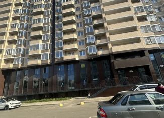 Аренда однокомнатной квартиры, 38 м2, Краснодар, Черкасская улица, 58/2, микрорайон Восточно-Кругликовский