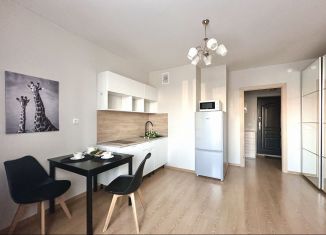 Продажа квартиры студии, 24.1 м2, Мурино, проспект Авиаторов Балтики, 9