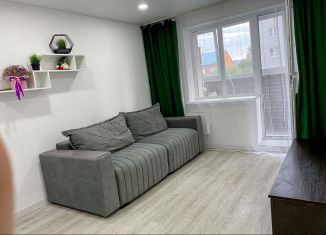 Сдается в аренду однокомнатная квартира, 34 м2, Искитим, микрорайон Южный, 59