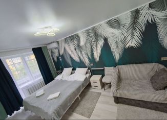 Аренда однокомнатной квартиры, 30 м2, Курганская область, улица Архангельского, 71