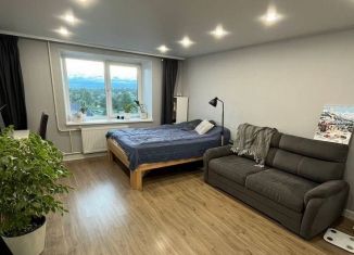 Сдается 1-комнатная квартира, 42 м2, Карелия, Пограничная улица, 56