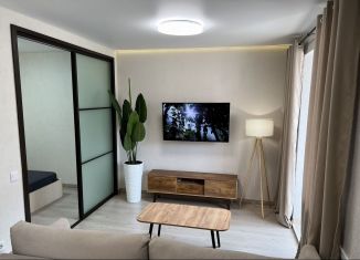 Сдаю в аренду квартиру студию, 35.2 м2, Сыктывкар, Тентюковская улица, район Орбита