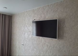 Сдаю в аренду двухкомнатную квартиру, 50 м2, Новгородская область, Сушанская улица, 15