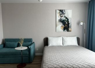 Сдаю в аренду квартиру студию, 29 м2, Удмуртия, улица Васнецова, 24