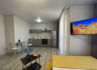 Сдам в аренду квартиру студию, 33 м2, Республика Башкортостан, улица Кирова, 130