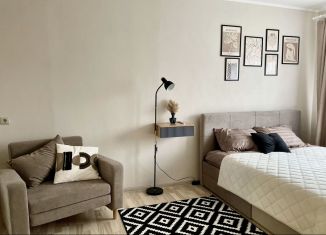 Сдача в аренду однокомнатной квартиры, 30 м2, Великий Новгород, набережная Александра Невского, 28