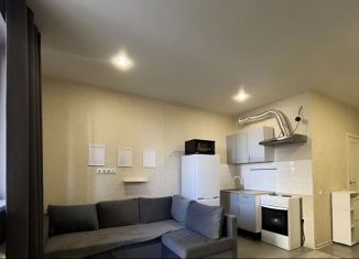 Продается квартира студия, 10.7 м2, Москва, Первомайская улица, 94А, ВАО