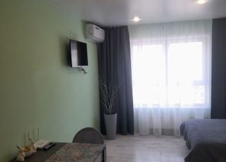 Сдается квартира студия, 24 м2, Горно-Алтайск, Набережная улица, 14/1