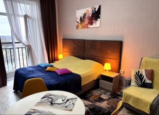 Сдача в аренду квартиры студии, 25 м2, Санкт-Петербург, Пулковское шоссе