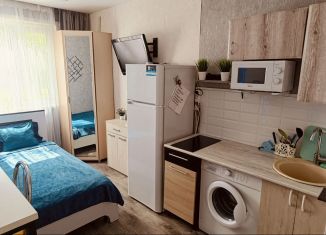 Сдача в аренду квартиры студии, 15 м2, Новосибирск, улица Кошурникова, 49, Дзержинский район