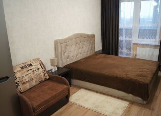 Аренда квартиры студии, 29 м2, Псков, Прибрежный проезд, 2