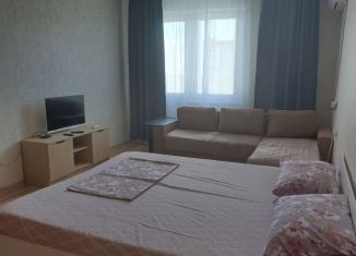 Сдам 1-ком. квартиру, 43 м2, Краснодар, улица Героев-Разведчиков, 19/2, микрорайон Восточно-Кругликовский