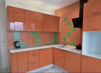 Продается однокомнатная квартира, 39.3 м2, Санкт-Петербург, метро Озерки, Парашютная улица, 56к1