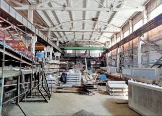 Сдается в аренду производство, 10000 м2, Новосибирск, улица Мира, 11