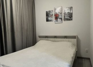 Сдаю в аренду 1-ком. квартиру, 32 м2, Оренбургская область, Уральская улица, 2/25