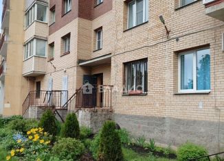 Продажа квартиры студии, 25 м2, Санкт-Петербург, Светлановский проспект, 60к3, Калининский район