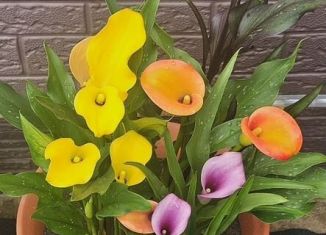 Продается гараж, 24 м2, Амурск, Комсомольская площадь