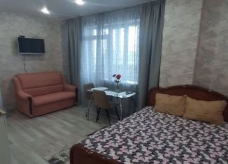 Аренда квартиры студии, 31 м2, Курская область, проспект Вячеслава Клыкова, 9В